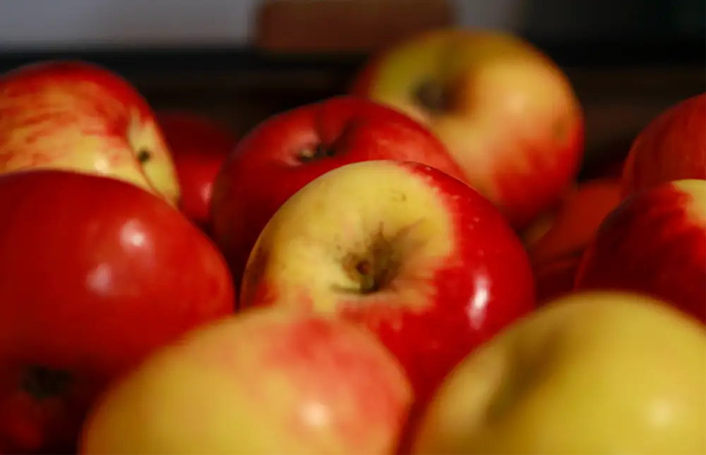 Pommes bio et locales à vendre à la Coop14 à Paris 14