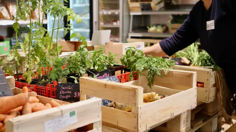 Une coopératrice fait le réassort des légumes bio à la Coop 14