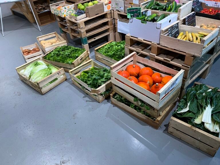 Les légumes en direct de la Ferme des Prés neufs (91)